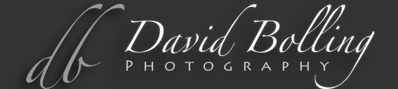 David Bolling Photography